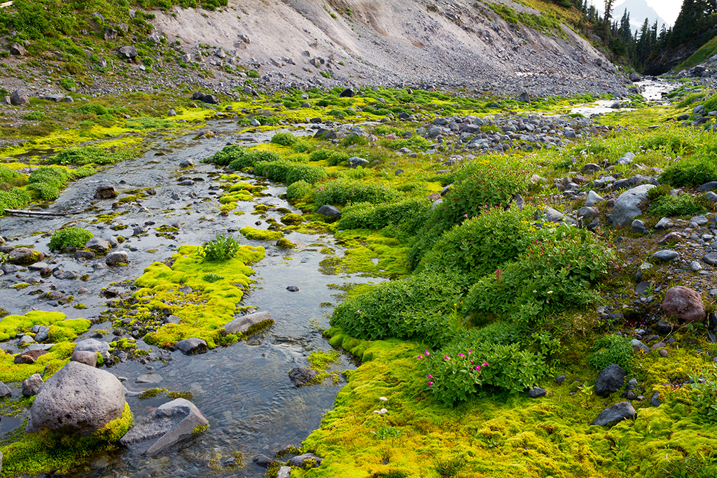 09-24 - 13.jpg - Mount Rainier National Park, WA